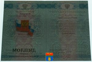 spo_2010-2013
